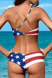 Star Flag Printed Bikini